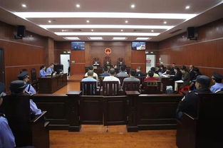 惠州博罗法院公开审理恶势力团伙“软暴力”催债案件，揭示担保行业潜规则